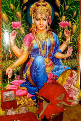 

Aabhaas Mata Lakshmi Wall Poster Fine Art Print(12 inch X 18 inch, Rolled)