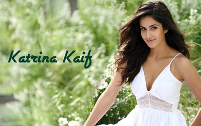

Aabhaas Katrina kaif Wall Poster Fine Art Print(12 inch X 18 inch, Rolled)
