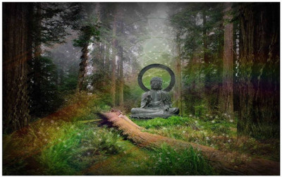 

Aabhaas Buddha Wall Poster Fine Art Print(12 inch X 18 inch, Rolled)