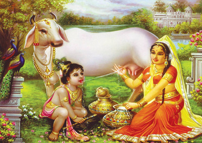 

Aabhaas Krishna Wall Poster Fine Art Print(12 inch X 18 inch, Rolled)