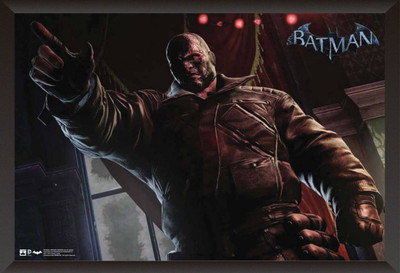 

Akhuratha Batman Arkham Origins Fine Quality Wall Poster Paper Print(12 inch X 18 inch, Rolled)