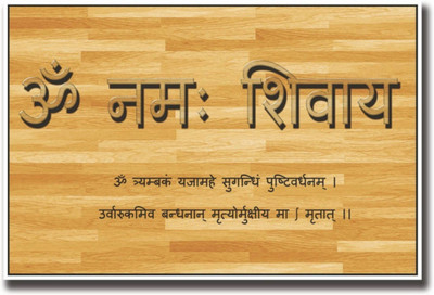 

Aabhaas OM Namah Shivay Wall Poster Fine Art Print(12 inch X 18 inch, Rolled)
