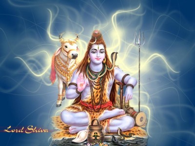 

Aabhaas Shiva Wall Poster Fine Art Print(12 inch X 18 inch, Rolled)