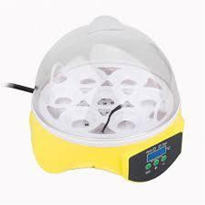 

TM&W tmwmodel333 Egg Incubator
