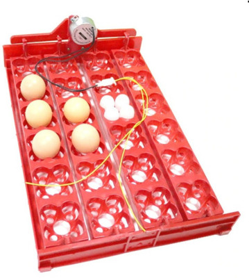 BuyChoice FPNV1D114 Egg Incubator