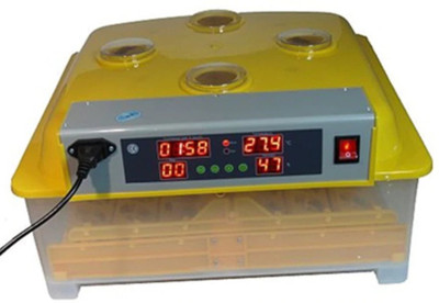 BuyChoice FPNV1D102 Egg Incubator