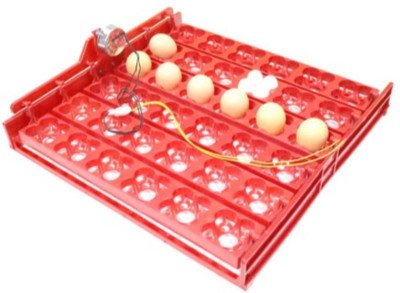 

BuyChoice FPNV1D045 Egg Incubator
