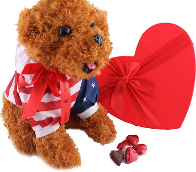 

Zoroy Luxury Chocolate Valentines day 12 inch Dog cuddly with a heart box of 27 milk chocolate hearts Combo(60 g)