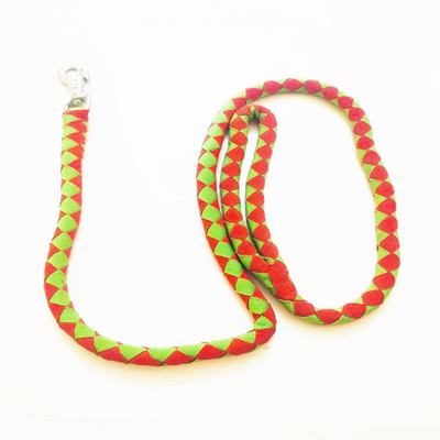 

Petsnhuman Snake Stlye Leash Dog & Cat Leash(, Mutlicolor