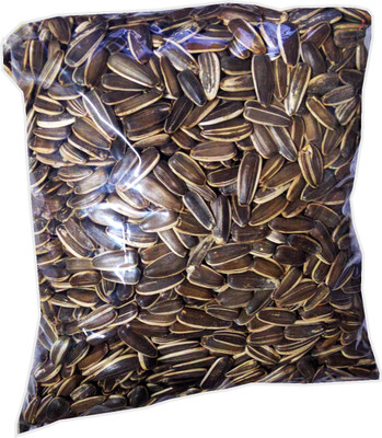 

Parrots Wizard Striped Sunflower Seeds 2000Grams 2 kg Dry Bird Food