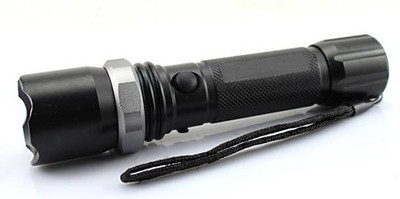 Care 4 torch Torch(Black, 18 cm, Rechargeable)