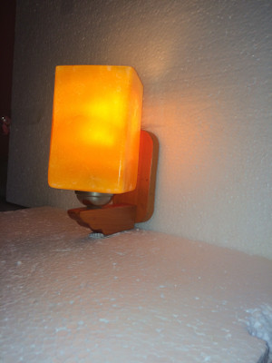 VAGalleryKing Uplight Wall Lamp Without Bulb