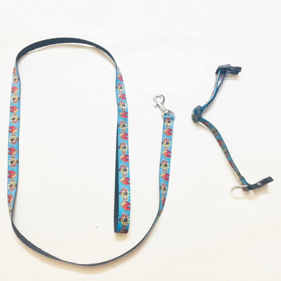 Petsnhuman Puppy Printed Collar with Leash Multicolor Dog & Cat Collar & Leash(, Multicolor