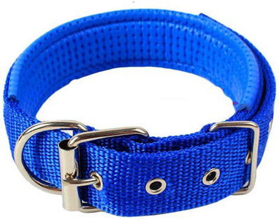 

101Lives XL blue collar sturdy Dog Everyday Collar(, Blue