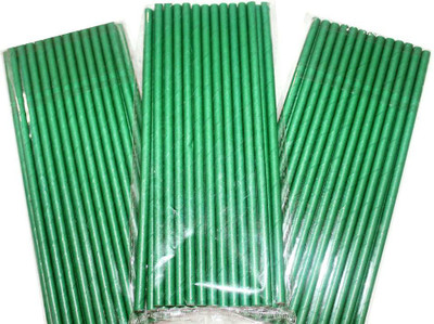 

7horse Straight Drinking Straw(Green, Pack of 3)