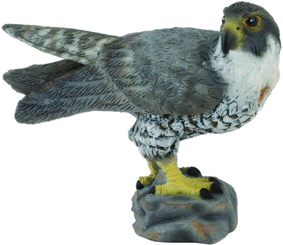 

Collecta Cta88399 Peregrifalcon, Multi Color(Multicolor)