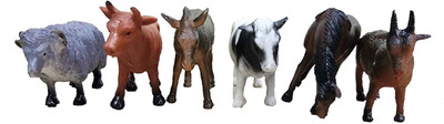 

RGB GROUP Animals for Kids Educational Purpose(Multicolor)