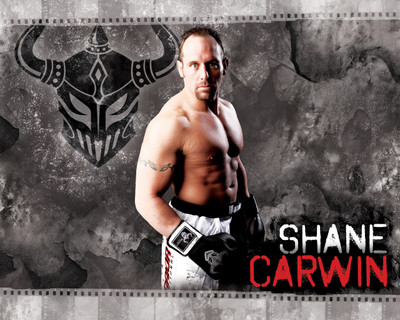 

Sports Mma Shane Carwin Warrior International Mixed Martial HD Wall Poster Paper Print(12 inch X 18 inch, Rolled)