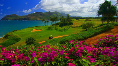 

Sports Golf HD Wall Poster Paper Print(12 inch X 18 inch, Rolled)