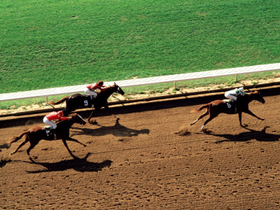 

Sports Horse Racing HD Wall Poster Paper Print(12 inch X 18 inch, Rolled)