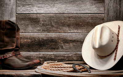 

Sports Rodeo Wall Poster Paper Print(12 inch X 18 inch, Rolled)