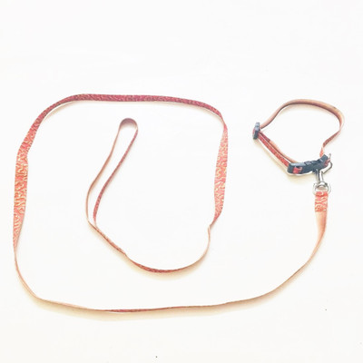 

Petsnhuman Fancy Puppy Belt with Collar Dog & Cat Collar & Leash(, Multicolor