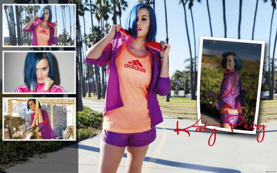 

Music Katy Perry Singers United States HD Wallpaper Background Fine Art Print(12 inch X 18 inch, Rolled)