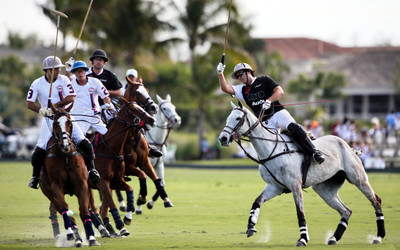 Sports Polo Wall Poster Paper Print(12 inch X 18 inch, Rolled)