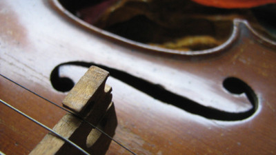 

Music Violin HD Wallpaper Background Fine Art Print(12 inch X 18 inch, Rolled)