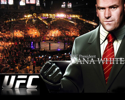 

Sports Mma HD Wall Poster Paper Print(12 inch X 18 inch, Rolled)