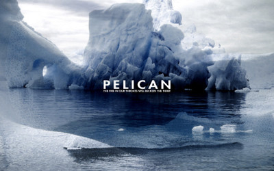 

Music Pelican HD Wallpaper Background Fine Art Print(12 inch X 18 inch, Rolled)