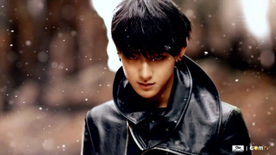 

Music Exo Band (Music) South Korea Exo-m Eox-m Tao HD Wallpaper Background Fine Art Print(12 inch X 18 inch, Rolled)