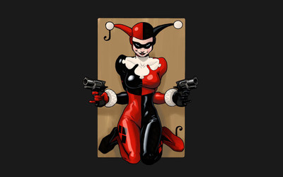 

Harley Quinn Frameless Fine Quality Poster Fine Art Print(12 inch X 18 inch, Rolled)