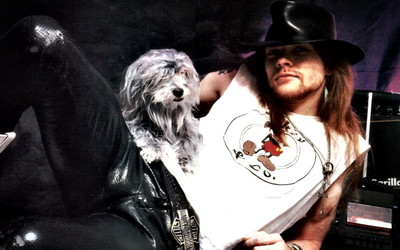 

Music Guns N' Roses Band (Music) United States HD Wallpaper Background Fine Art Print(12 inch X 18 inch, Rolled)