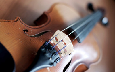 

Music Violin Wall Poster Fine Art Print(12 inch X 18 inch, Rolled)