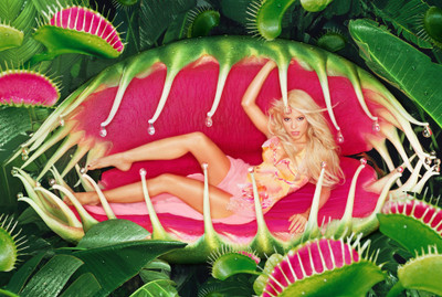 

Music Shakira Singers Colombia HD Wallpaper Background Fine Art Print(12 inch X 18 inch, Rolled)