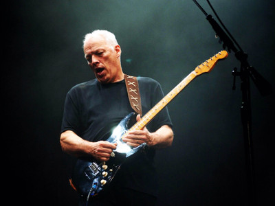 

Music David Gilmour Wall Poster Fine Art Print(12 inch X 18 inch, Rolled)