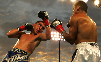 

Sports Boxing Rafael Ortiz Ricardo Dominguez HD Wall Poster Paper Print(12 inch X 18 inch, Rolled)