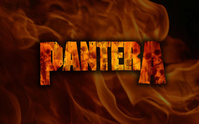 

Music Pantera Band (Music) United States HD Wallpaper Background Fine Art Print(12 inch X 18 inch, Rolled)