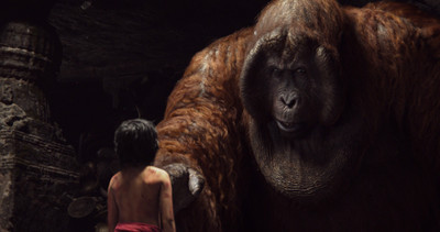 

Akhuratha Poster Movie The Jungle Book (2016) The Jungle Book Orangutan HD Wallpaper Background Fine Art Print(12 inch X 18 inch, Rolled)