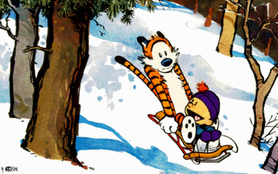 

Calvin & Hobbes Hobbes Calvin Frameless Fine Quality Poster Photographic Paper(12 inch X 18 inch, Rolled)