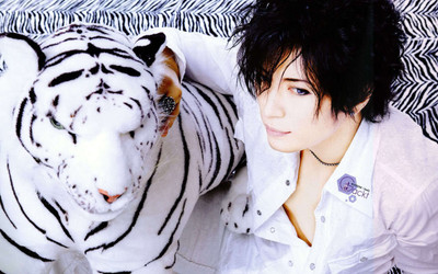 

Music Gackt Singers Japan HD Wallpaper Background Fine Art Print(12 inch X 18 inch, Rolled)