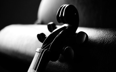 

Akhuratha Music Violin Wall Poster Fine Art Print(12 inch X 18 inch, Rolled)