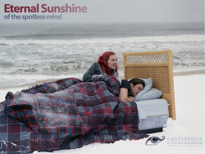 

Akhuratha Poster Movie Eternal Sunshine Of The Spotless Mind HD Wallpaper Background Fine Art Print(12 inch X 18 inch, Rolled)