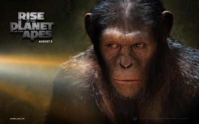 

Akhuratha Poster Movie Rise Of The Planet Of The Apes HD Wallpaper Background Fine Art Print(12 inch X 18 inch, Rolled)