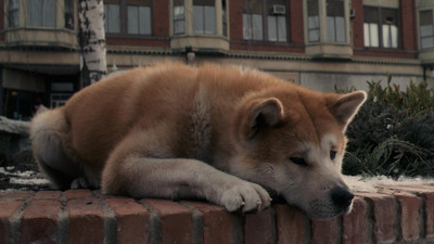 

Akhuratha Poster Movie Hachi: A Dog's Tale HD Wallpaper Background Fine Art Print(12 inch X 18 inch, Rolled)