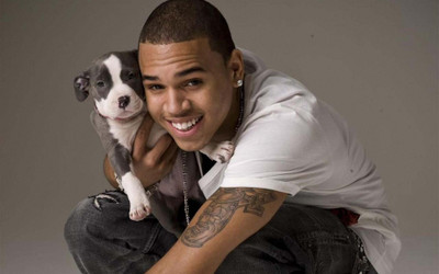 

Music Chris Brown Wall Poster Fine Art Print(12 inch X 18 inch, Rolled)