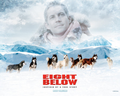 

Akhuratha Poster Movie Eight Below HD Wallpaper Background Fine Art Print(12 inch X 18 inch, Rolled)
