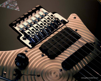 

Music Guitar Wall Poster Fine Art Print(12 inch X 18 inch, Rolled)