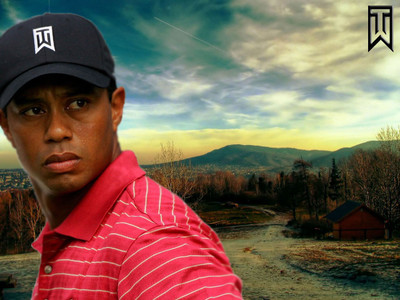 

Sports Tiger Woods Golf HD Wall Poster Paper Print(12 inch X 18 inch, Rolled)